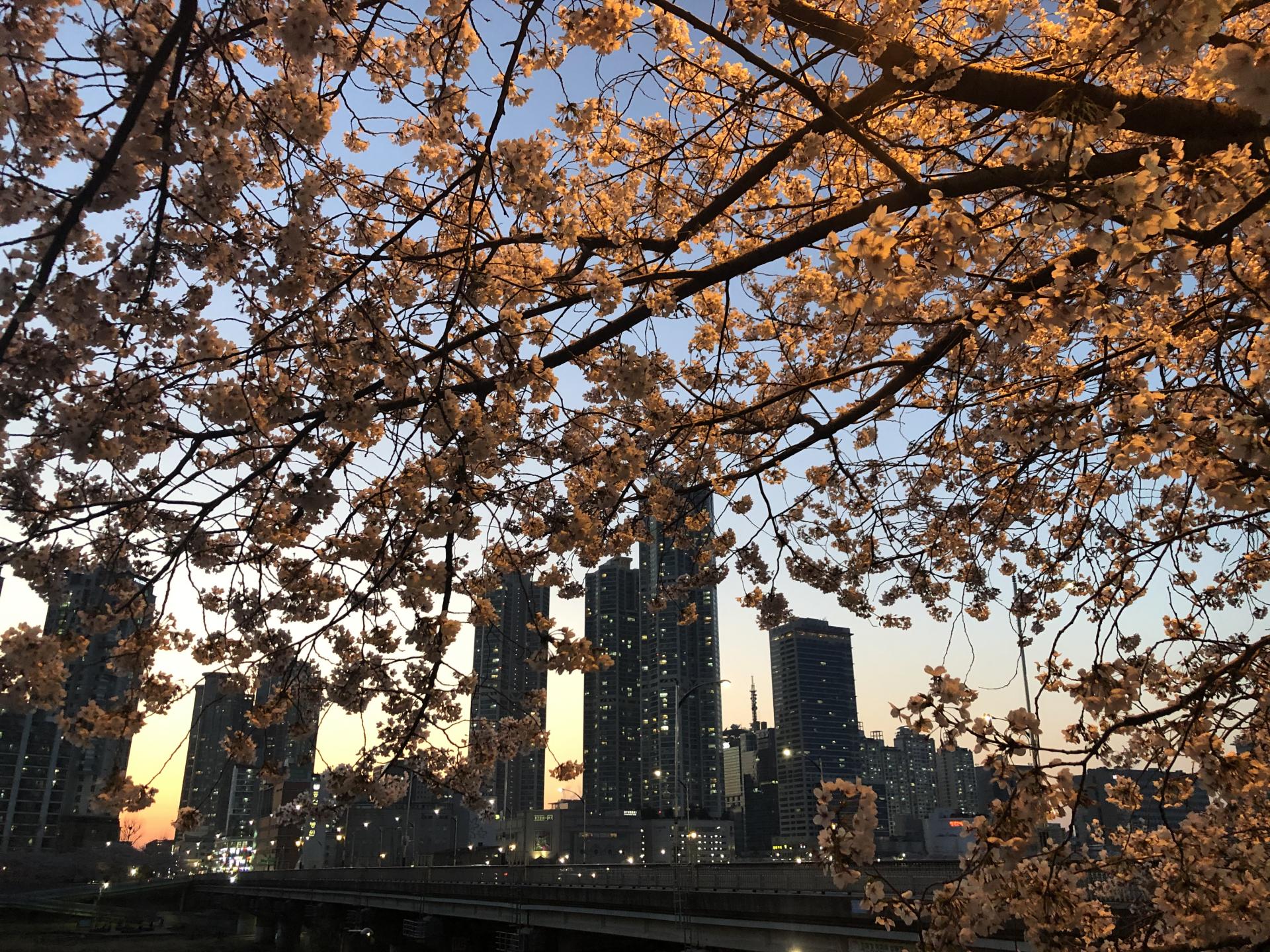 핫트랙스 광화문점